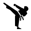 deweysmartialartsrens.com favicon