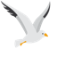 spirit-of-ruegen.de favicon