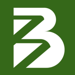blesslyllc.com favicon
