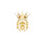 goldtradermo.com favicon