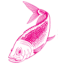 hirtshalsfiskehus.dk favicon