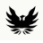 nattyshirts.com favicon