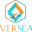 overseasvacation.co.in favicon