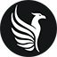phenixinvestigations.com favicon