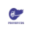 promoversuae.com favicon