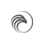 airforcespa.it favicon