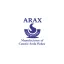 araxchemi.com favicon
