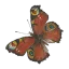 dlbg.dk favicon
