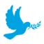 la-boutique-des-chretiens.com favicon