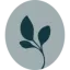 shannonmattern.com favicon