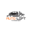 autolifttransport.com favicon