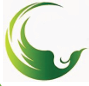 nneducationhub.com.au favicon