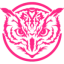 scandinavianowlcenter.eu favicon