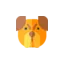 accdoga.com favicon