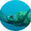 joblarsnorkelingrental.com favicon