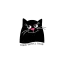 liskotraveltour.com favicon