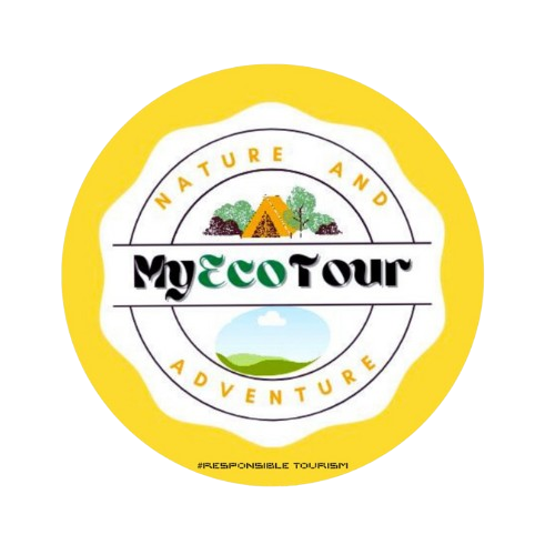 myecotour.com favicon