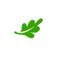realfastfunds.com favicon