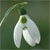 sterkebollen.nl favicon