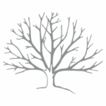 worthingtonclark.com favicon