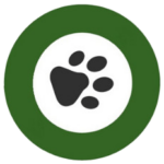 4pfotencoach.de favicon
