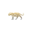 adleyclayton.co.uk favicon