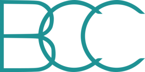 dragonsafetyandleisure.co.uk favicon
