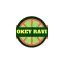 okeyravi.com favicon