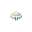 seocraft.in favicon
