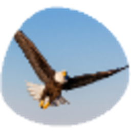 shaman-school.com favicon