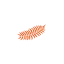 newzealandtrends.com favicon