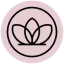 p-beauty.shop favicon