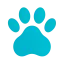 pawanda.fr favicon