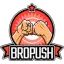 bropush.com favicon