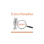 calcurelations.com favicon