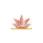 gayatrivihar.in favicon