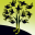 jacobijayne.com favicon