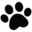 pawsporttoadventure.com favicon