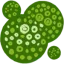 algerensning.dk favicon
