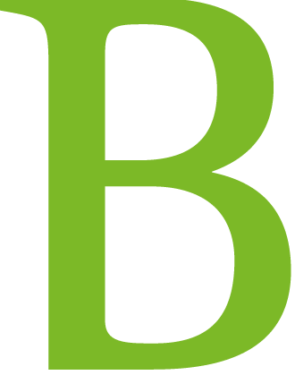 bosstobeschoeiingen.nl favicon