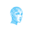 caracomp.com favicon