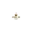 cremoso.online favicon