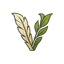 getvivio.com favicon