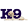k9cover.com favicon