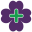 murphyspharmacycork.ie favicon