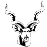 petesafaris.dk favicon