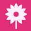 123kwiaty.pl favicon