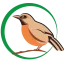 annambirding.com favicon