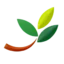 dolce-vita.uk favicon
