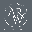 alfredrusselwallace.co.uk favicon
